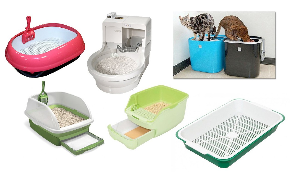 картинка из нейросети