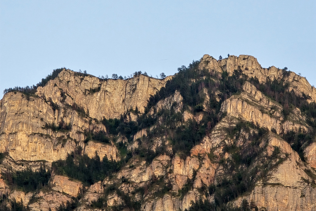 Персиковый сад