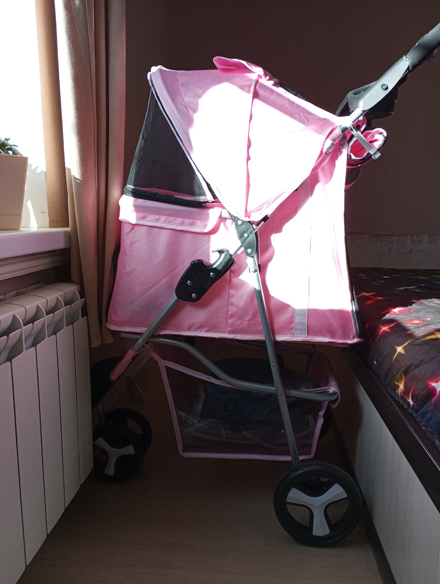 Наш новый транспорт