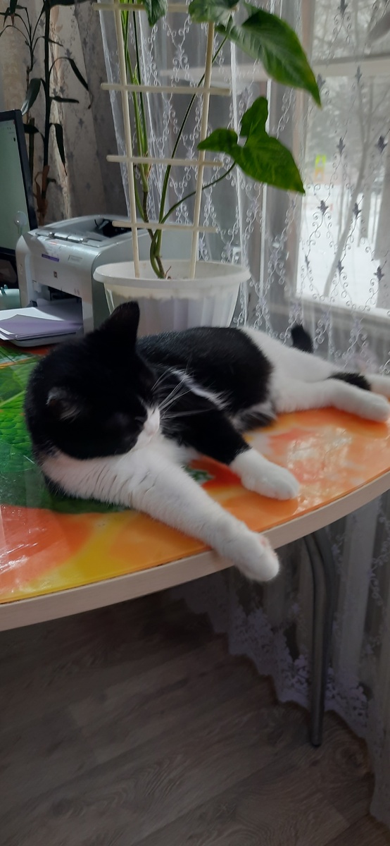 Фото автора 