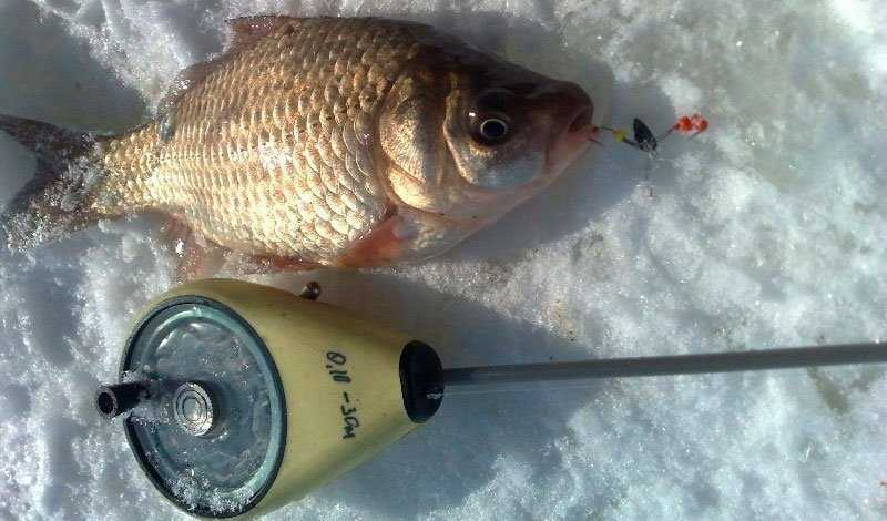 Фото с сайта: https://fishinfo.su/uploads/posts/all/lovlja-karasja-zimoj-so-lda-4.jpg