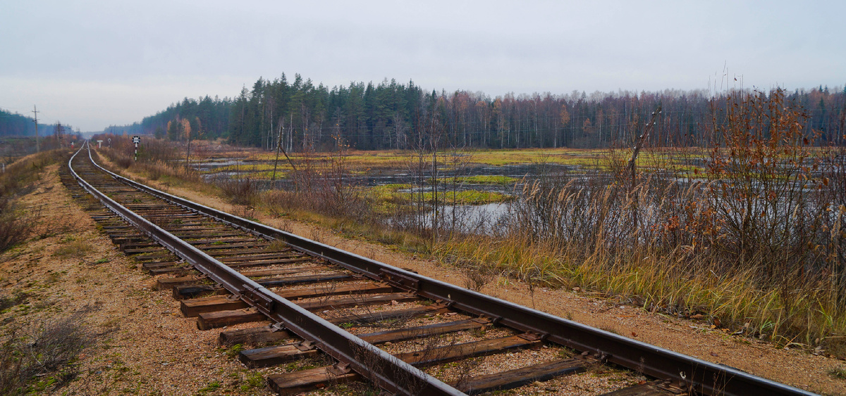 Аутентичная линия Торжок-Соблаго, сохранившаяся местами до наших дней в своём первозданном виде из паровозных времён. Фото Алексей Алексеев