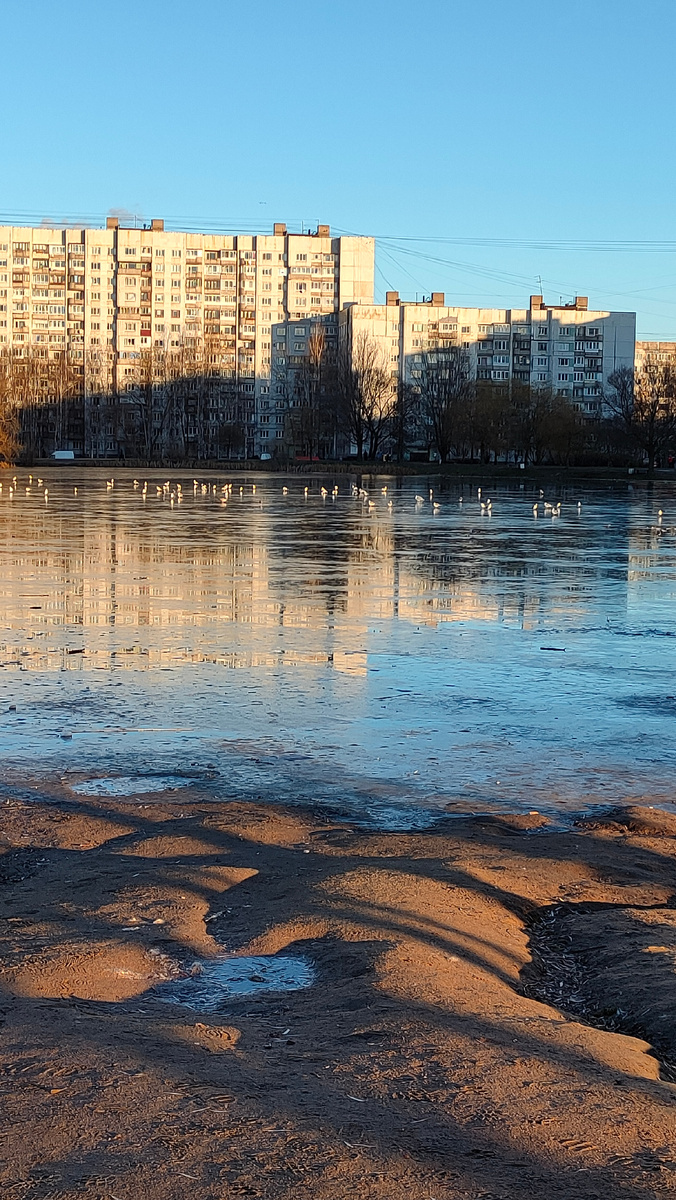 Фото автора 