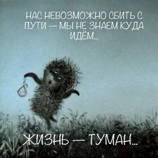 Это про меня😁