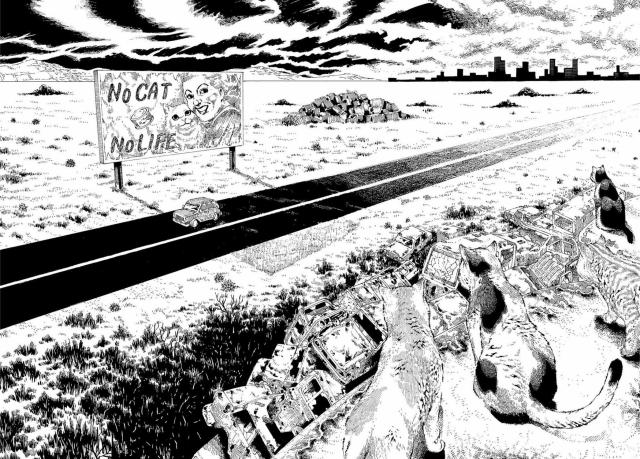 "Нет кота - нет жизни"