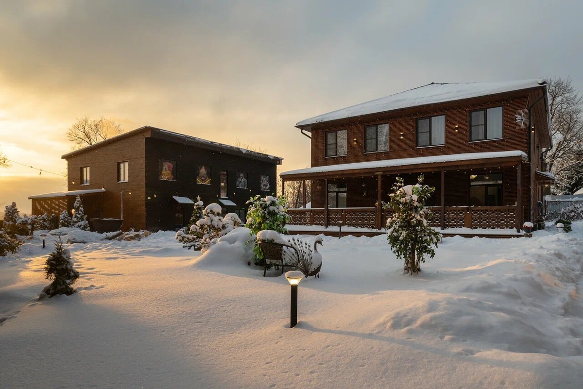 В Dacha Place две категории домов: VIP-коттеджи для четырёх человек и Family cottage, где могут разместиться восемь гостей. Фото: Dacha Place / Яндекс Путешествия