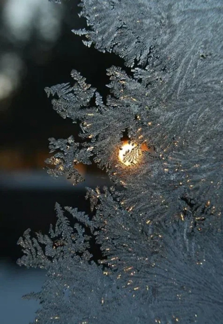 Зимняя красота