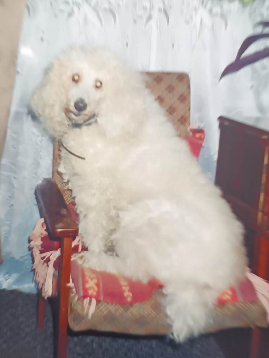 Альма. Фото Марины Шилец