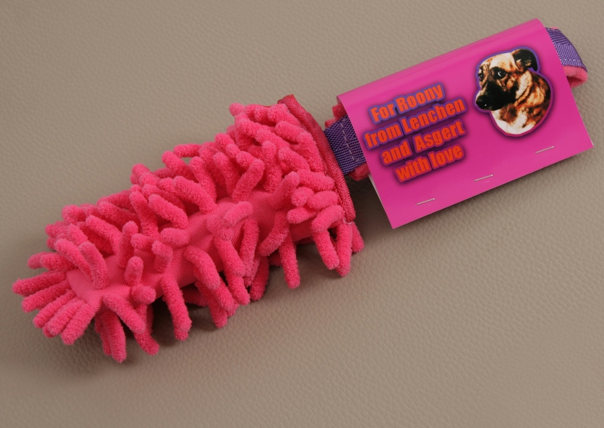 Игрушка для Руни, фото автора. 