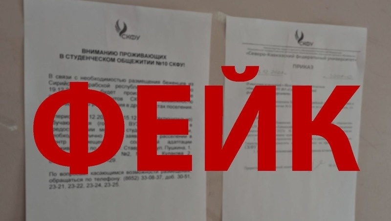      Фото: страница СКФУ «ВКонтакте»