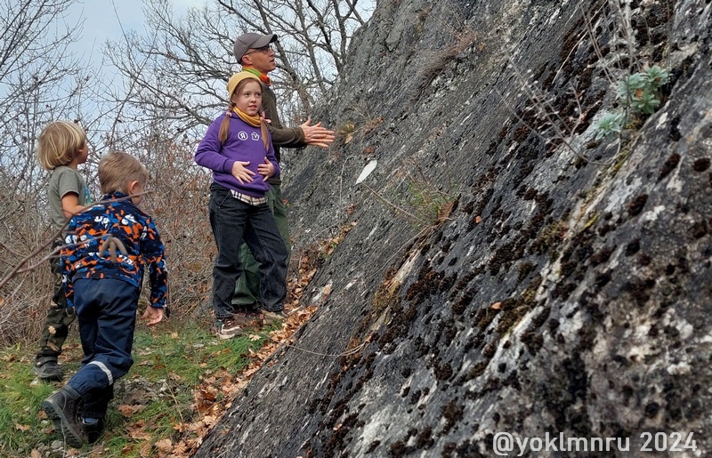 Карбоновая глыба вблизи Трудолюбовки Бахчисарайского района Крыма