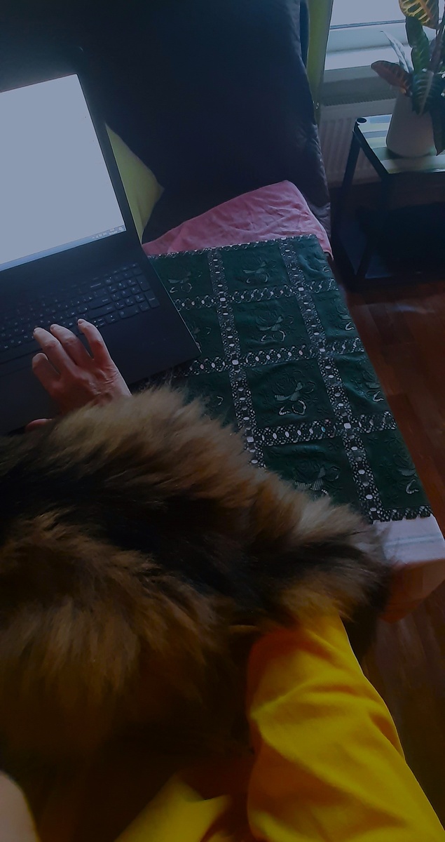 Фото автора