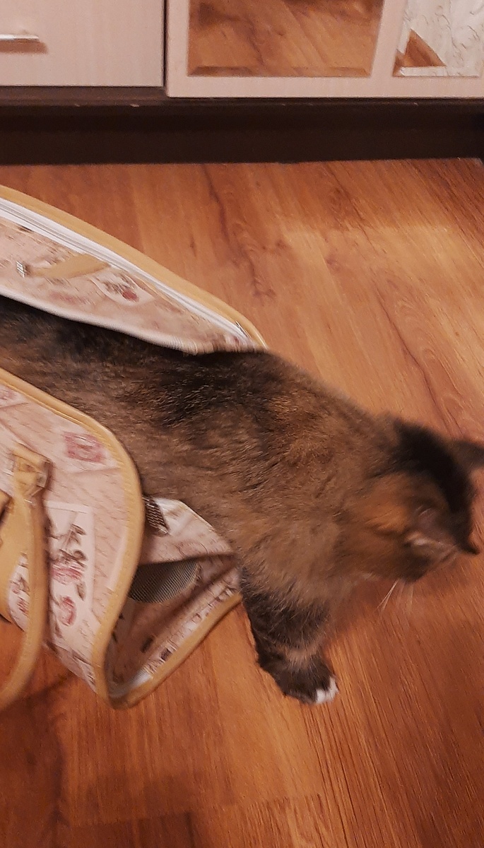 Фото автора