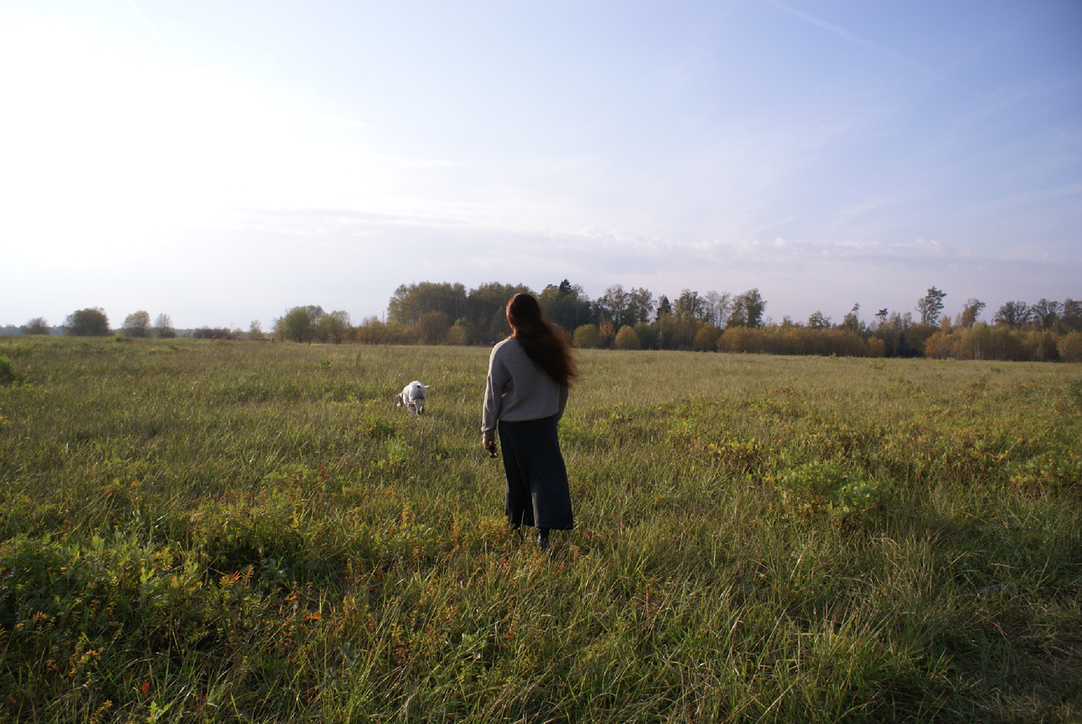 Татьяна Красильцева. Осень в поле.