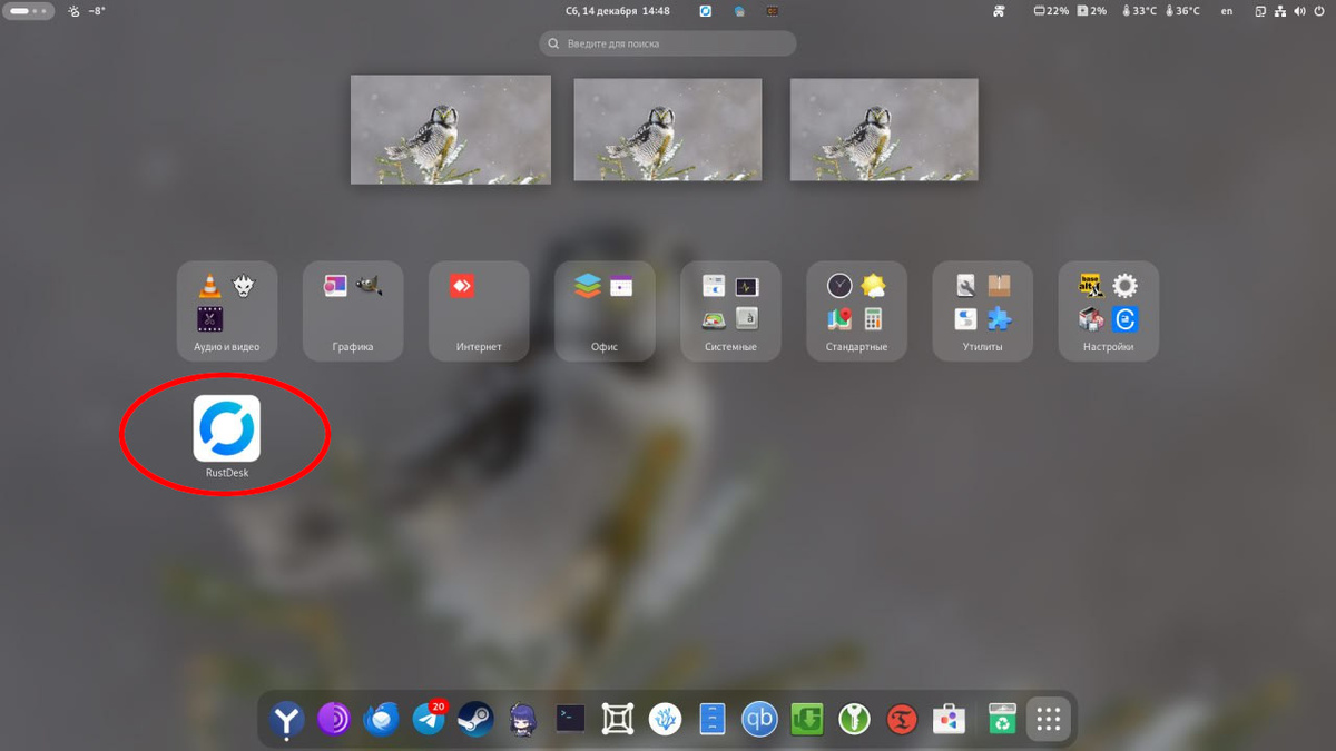 Ярлык RustDesk в DE Gnome