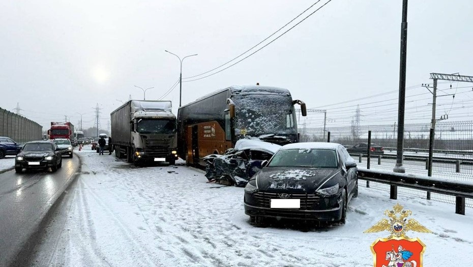    Автор фото: ГУ МВД по Московской области