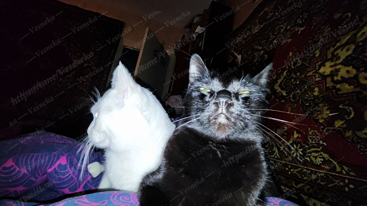 Фото автора