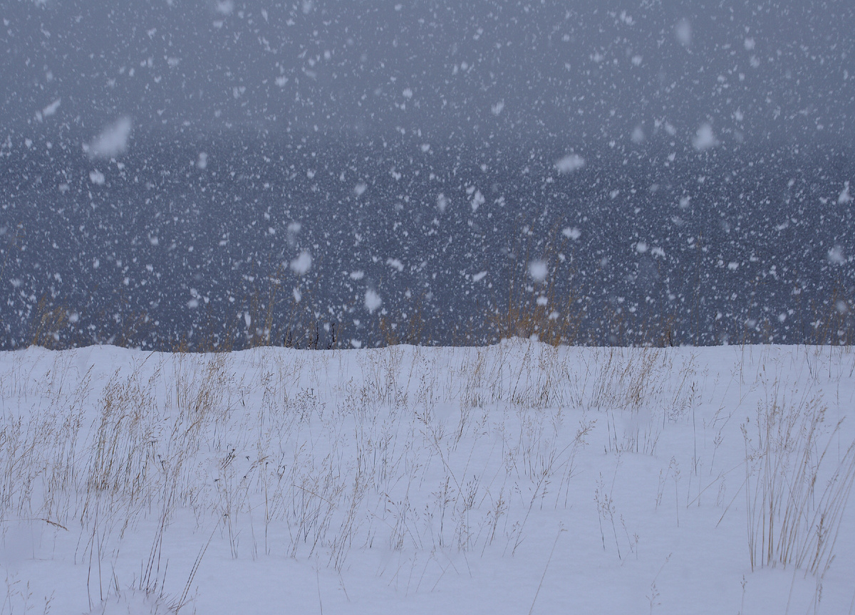 Изображение из открытых источников