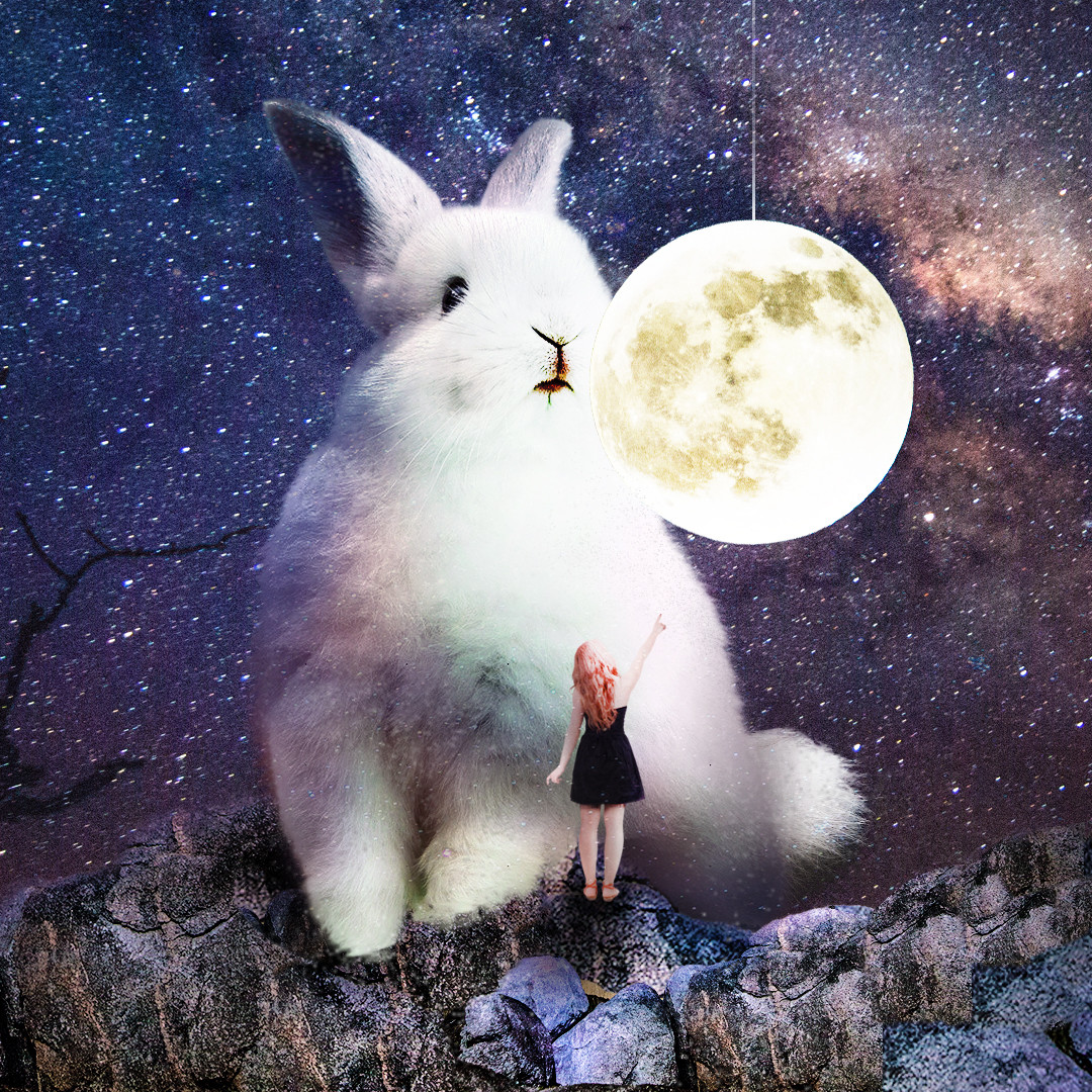 Яндекс картинки