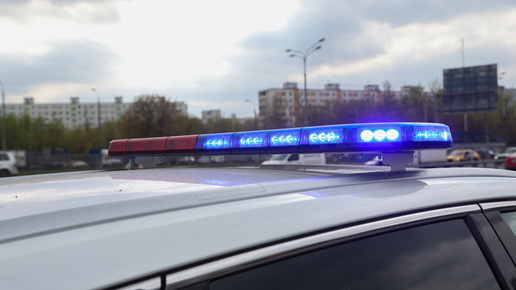    Petrov Sergey/news.ru/Globallookpress