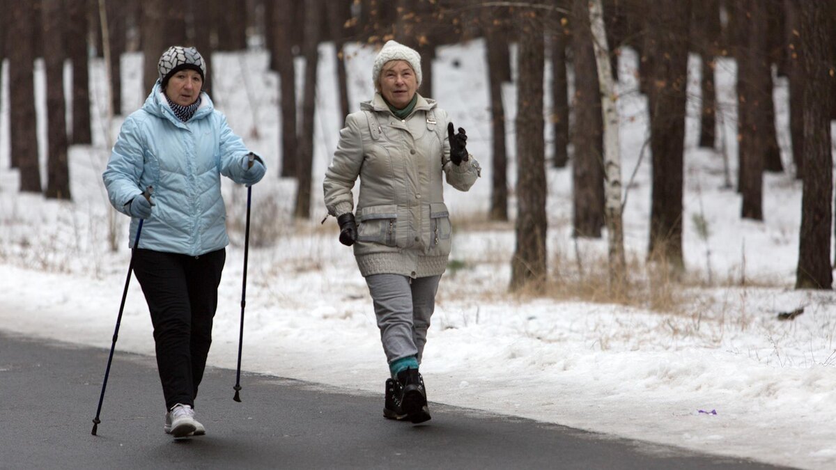 Фото: Nikolay Gyngazov/globallookpress.com
