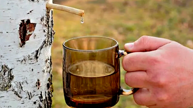 Фото из интернета