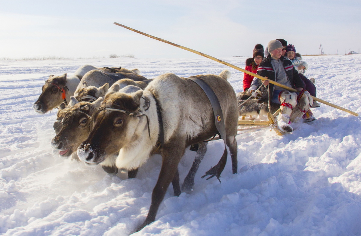 Зимние развлечения Арктики. Фото: Александра Марчук / GeoPhoto