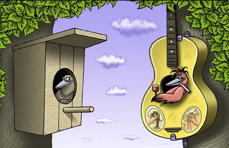 Источник Яндекс картинки