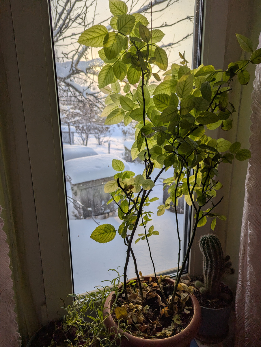 Фотография сделана автором статьи 