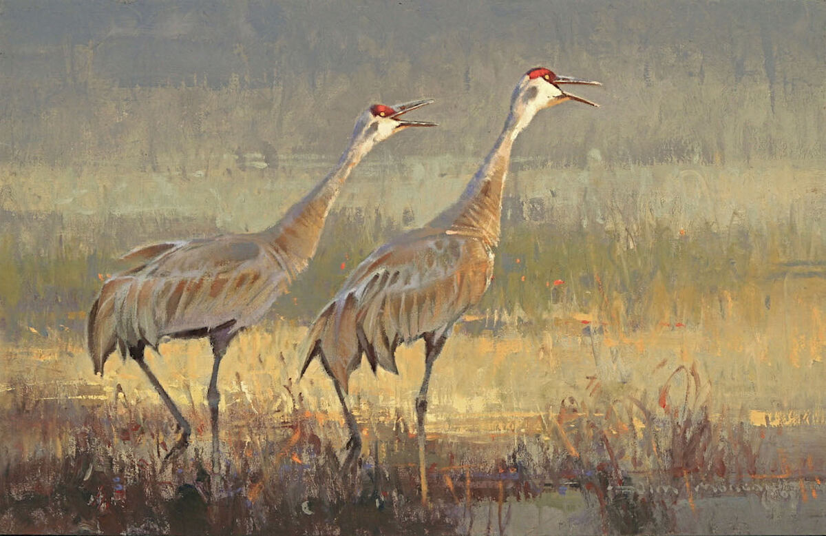 Обеспокоенные журавли