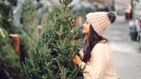    Как выбрать новогоднюю елку и ухаживать за ней, чтобы она не осыпалась через несколько дней: советы экспертов Ирина Петрова