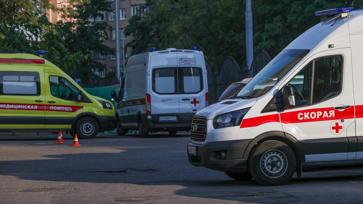    Фото: Belkin Alexey/news.ru