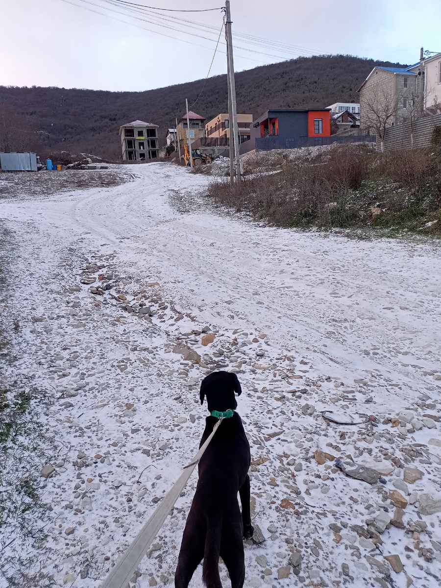 Это наша дорога