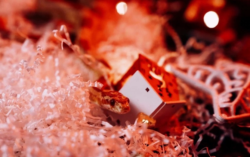    Гадание на рунах онлайн: что предсказывают древние знаки на неделю с 16 по 22 декабря