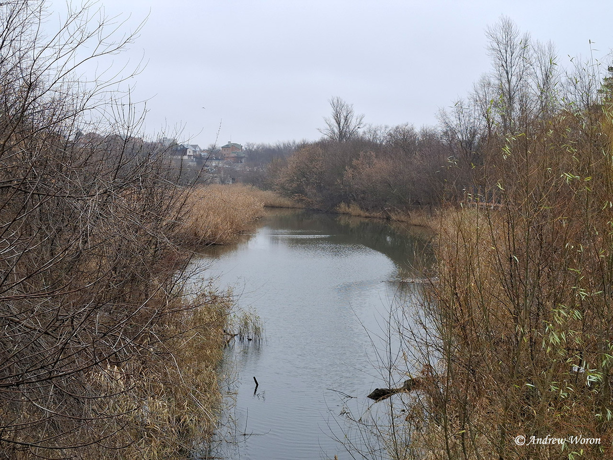 Вид на реку Темерник с моста на ул. Шеболдаева