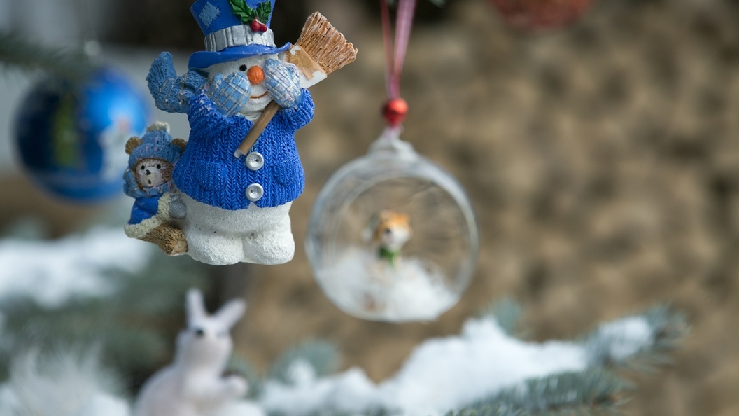    Nikolay Gyngazov, Николай/Global Look Press/Globallookpress