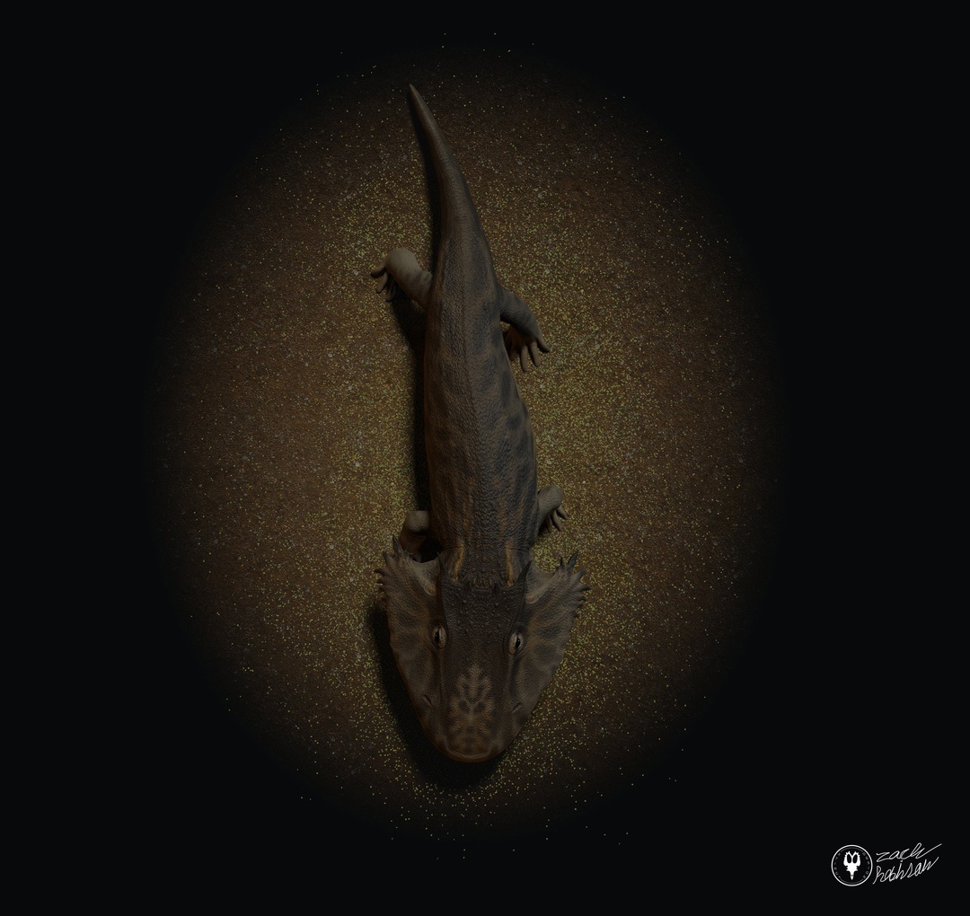 Затрахис арт.