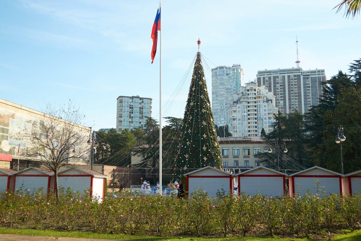    Фото: Сочи24