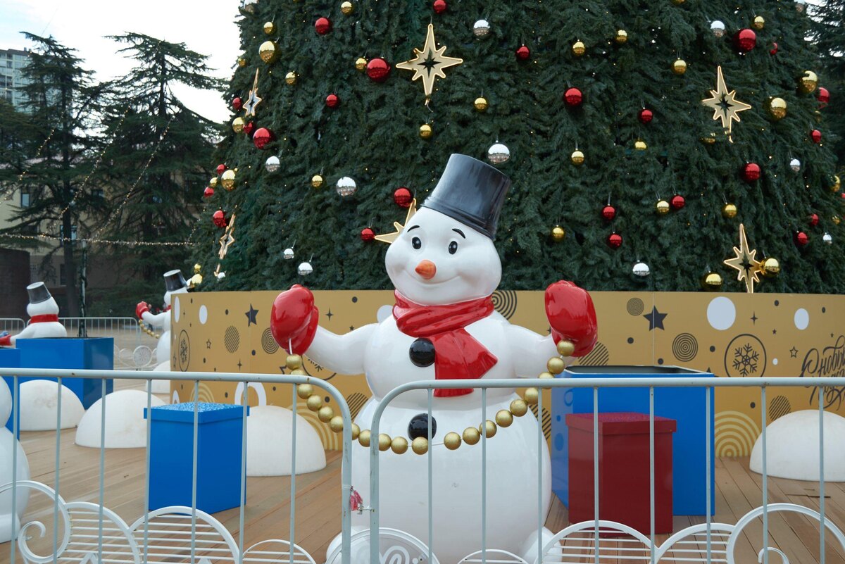    Фото: Сочи24