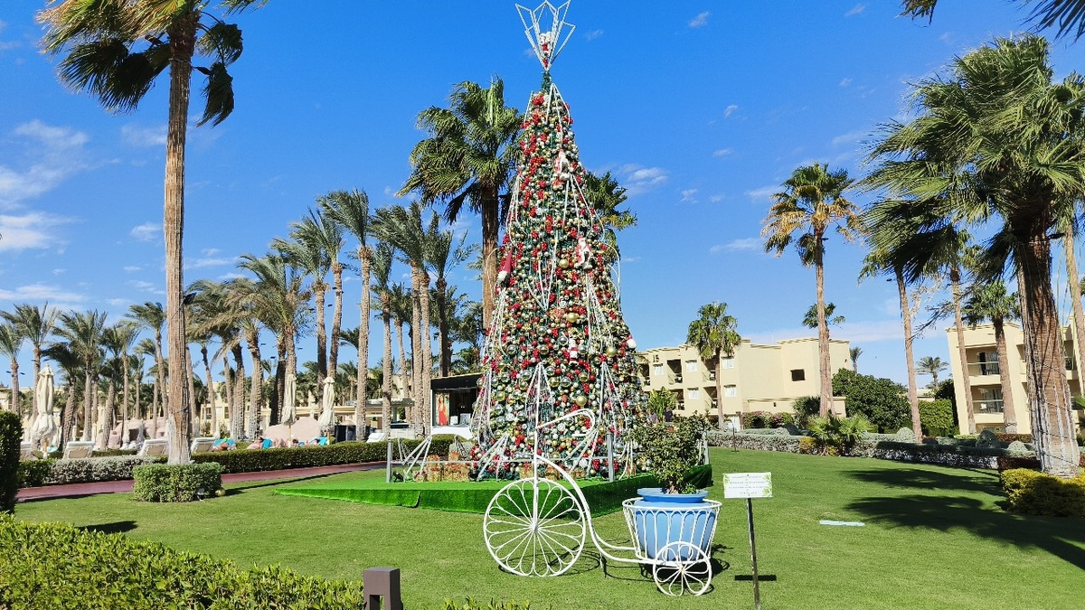 Территория отеля в Египте