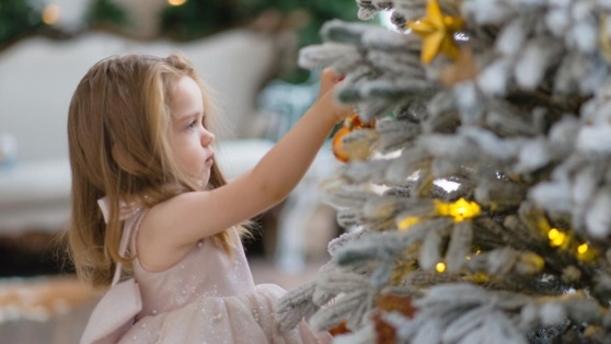    Как защитить новогоднюю елку от маленьких детей и животных: необычный лайфхак Алина Городниченко