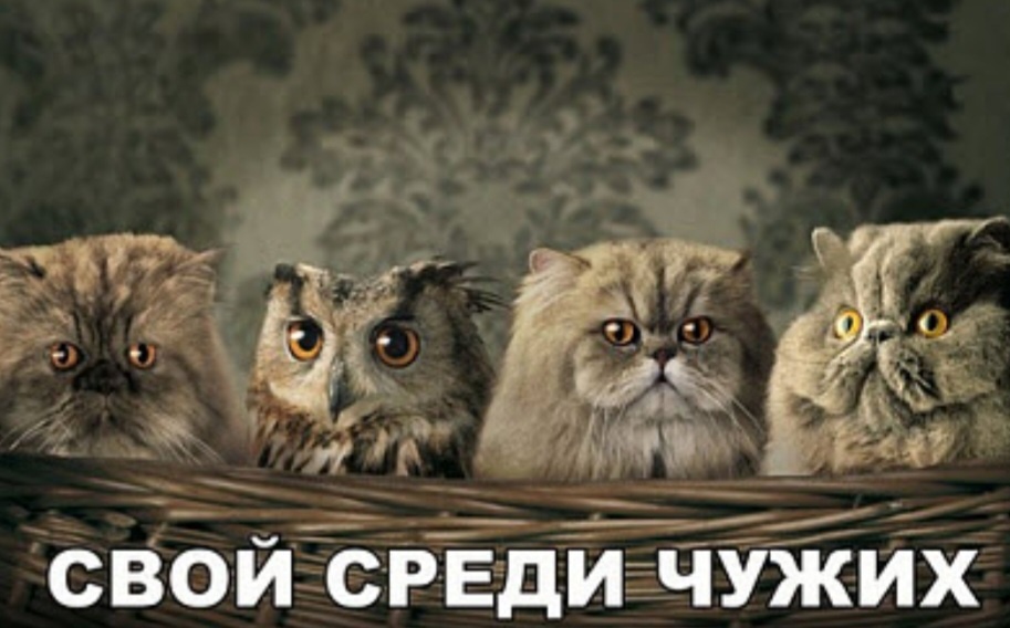 Фото из открытых источников 