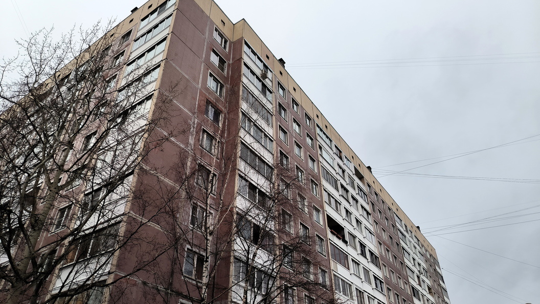    Maksim Konstantinov/Global Look Press