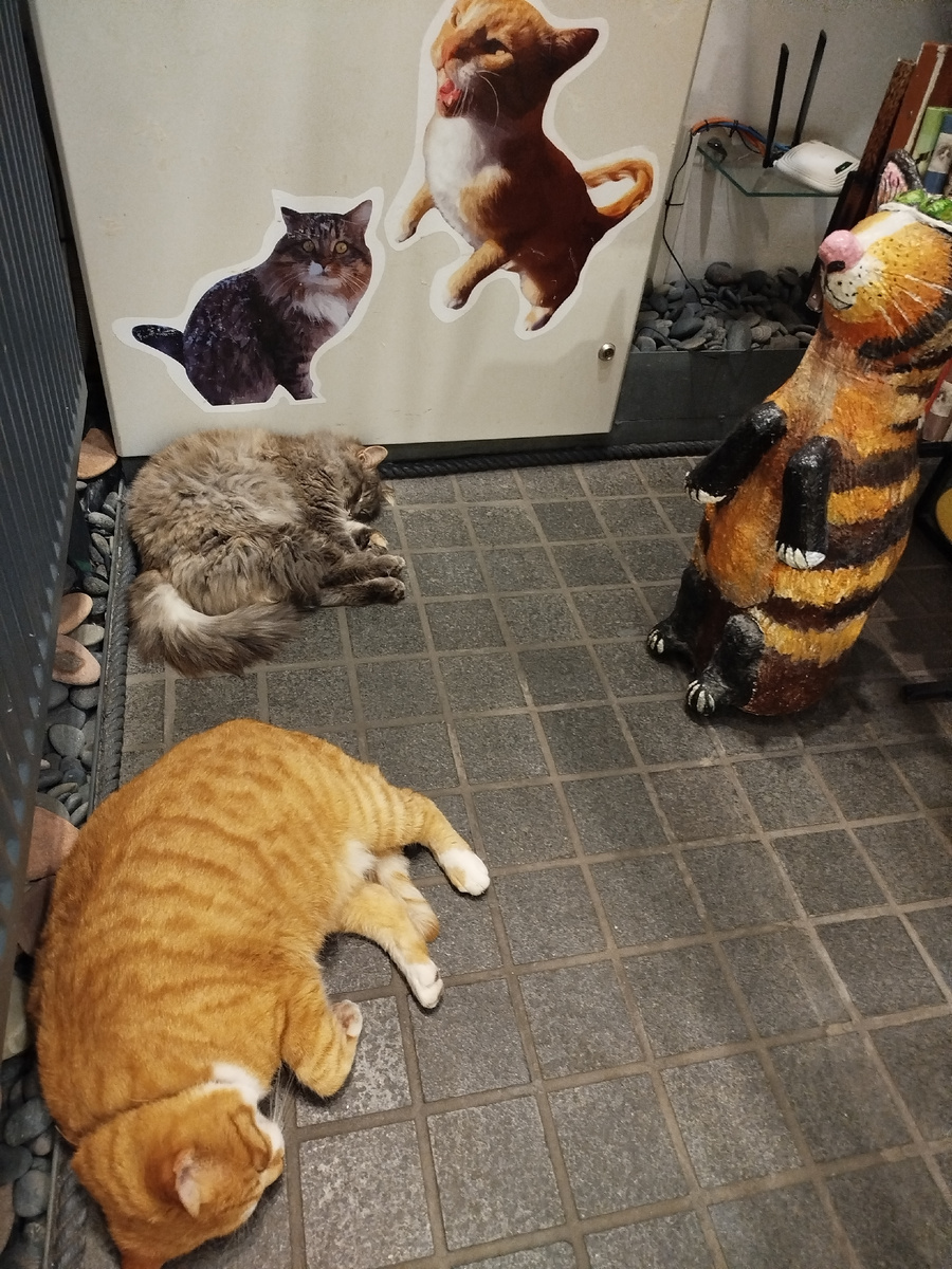 Чтобы подняться на верх нужно пройти всех котиков :) 