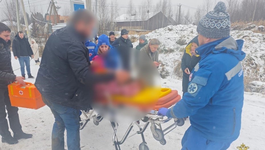    Автор фото: ГУ МВД по Санкт-Петербургу и Ленинградской области