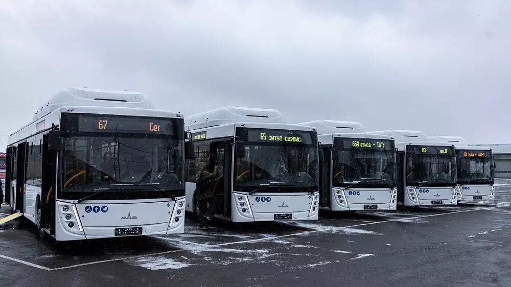     Источник: Администрация Ростова-на-Дону