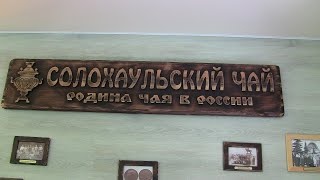 Фото из открытых источников. Самый чеверный чай растёт в Солох-Ауле. Именно там зародилось чаеводчтво в России