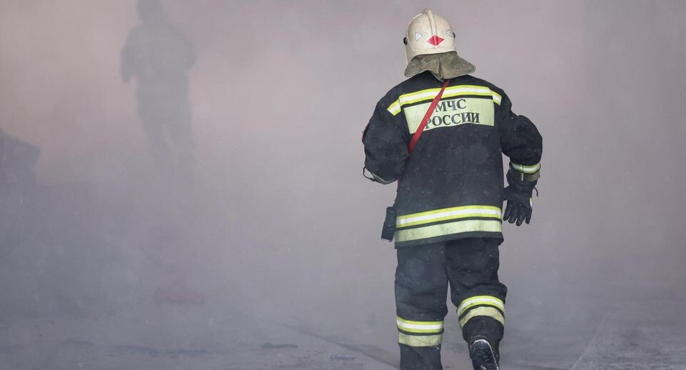    Belkin Alexey/news.ru / Global Look Press