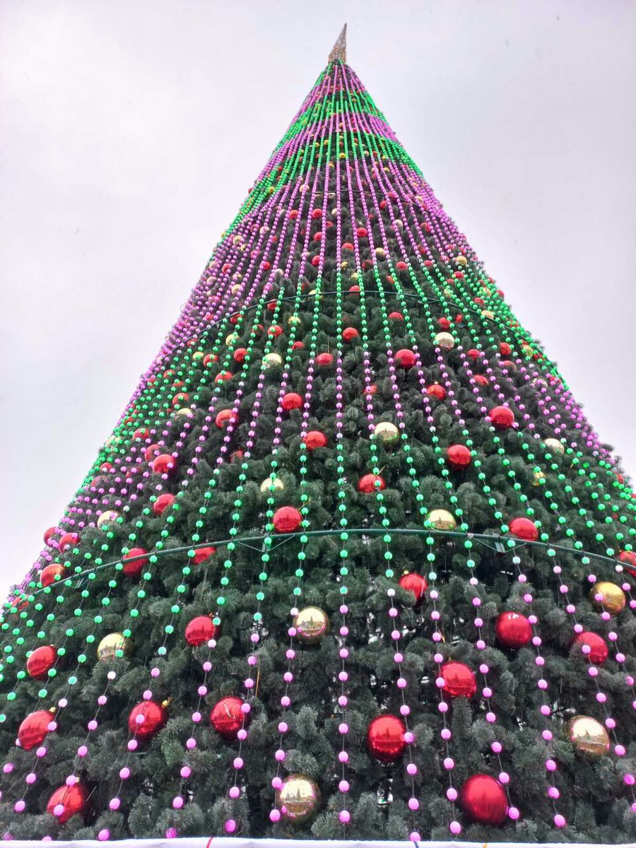 Фото автора.