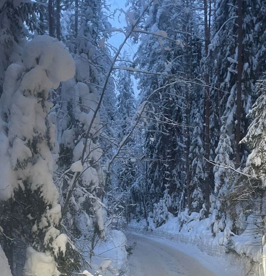 ЗИМНЯЯ ДОРОГА ВОСПОМИНАНИЙ, из личных фото автора Лидии Шатиловой